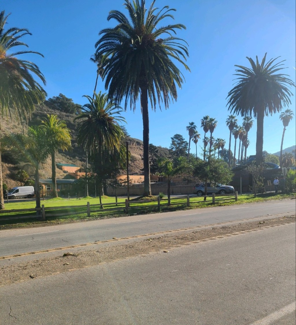 Why I started running- From a Person who loved the couch-and 6 things I noticed&nbsp;after.